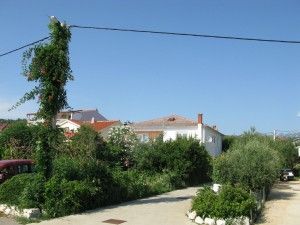 objects/1191/124296_julijana 13.jpg